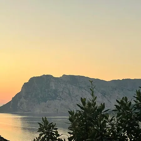 Villa La Conchiglia Lu Fraili *